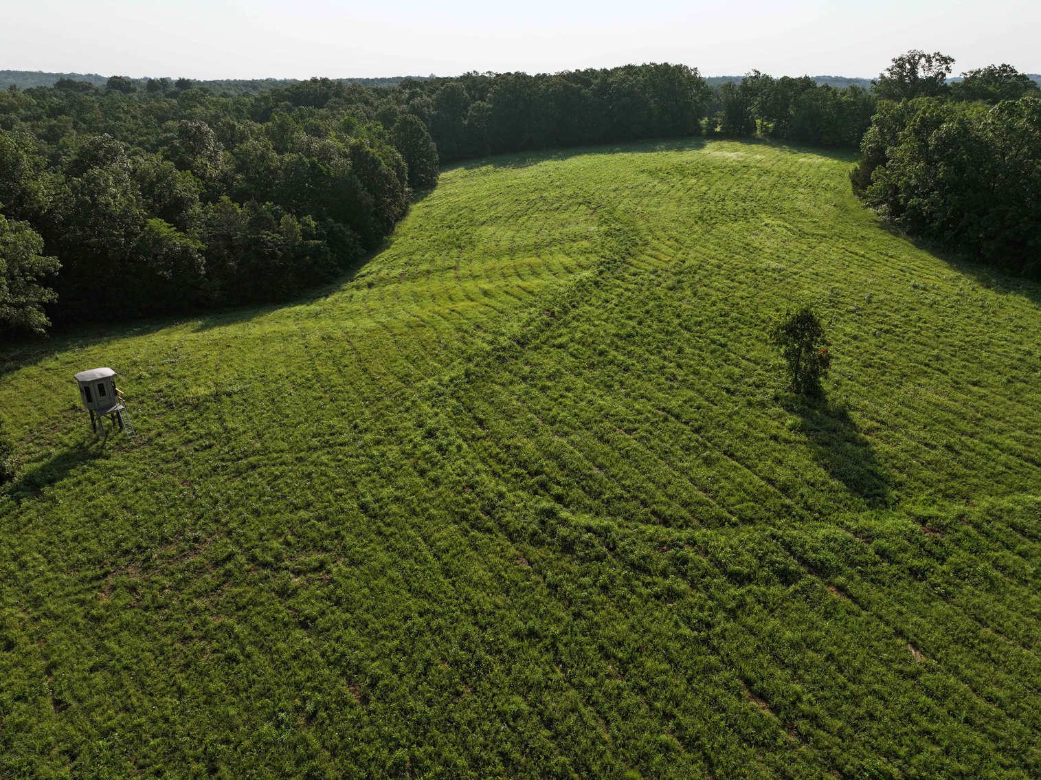 Image for Tract 4, BCR 306 Marble Hill, MO 63764