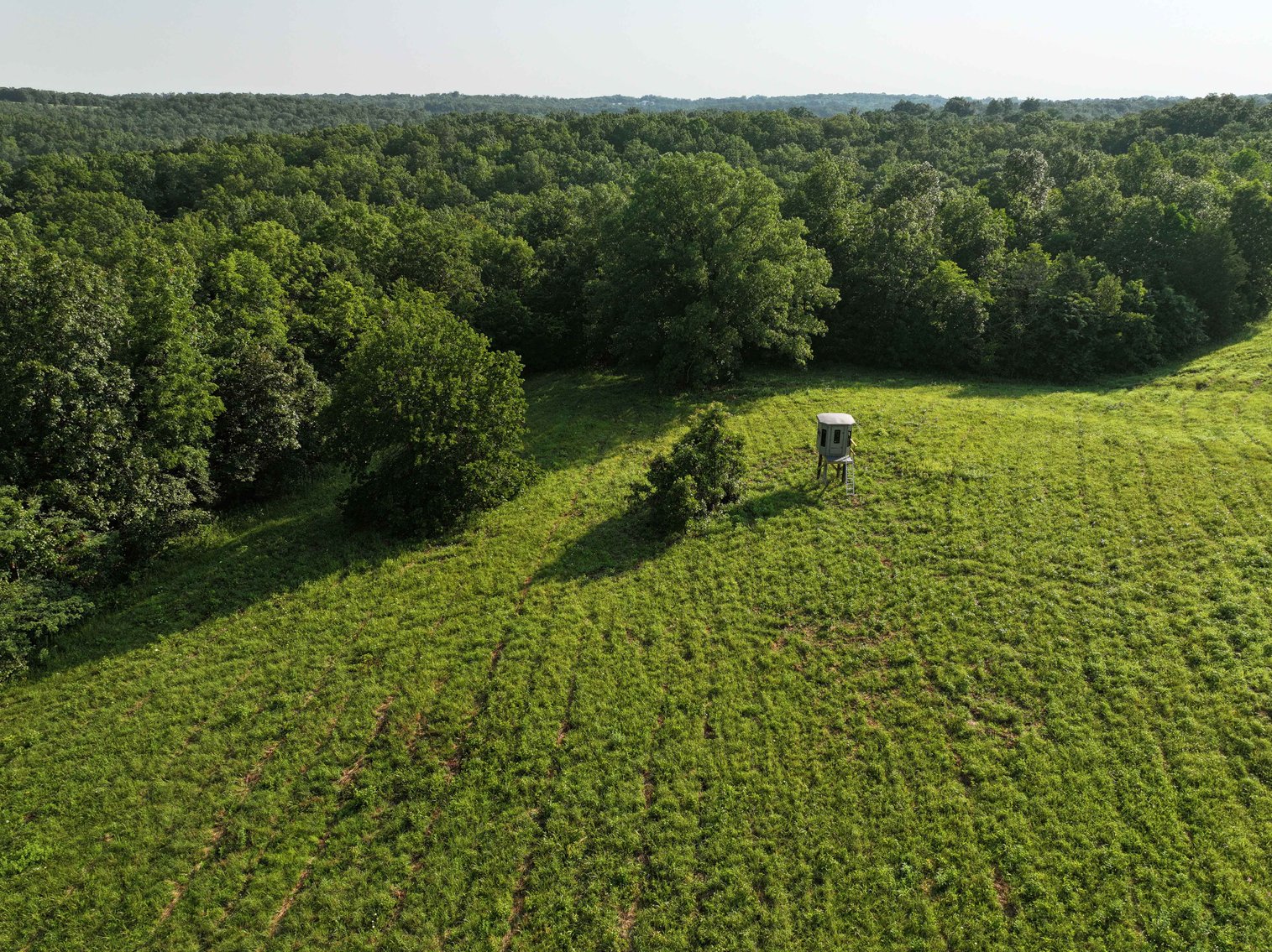 Image for Tract 4, BCR 306 Marble Hill, MO 63764