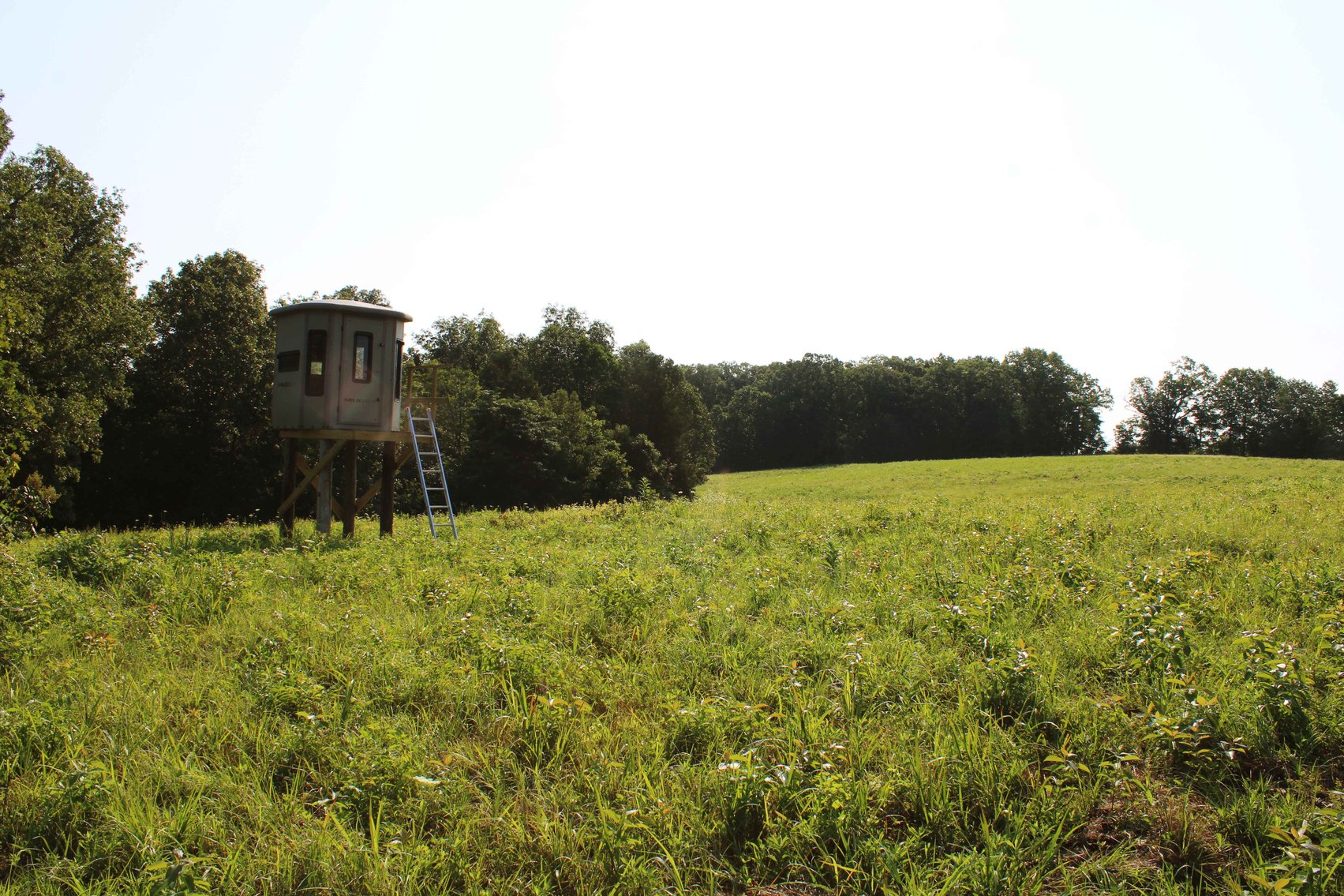 Image for Tract 4, BCR 306 Marble Hill, MO 63764