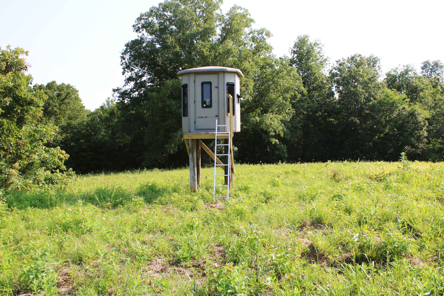 Image for Tract 4, BCR 306 Marble Hill, MO 63764