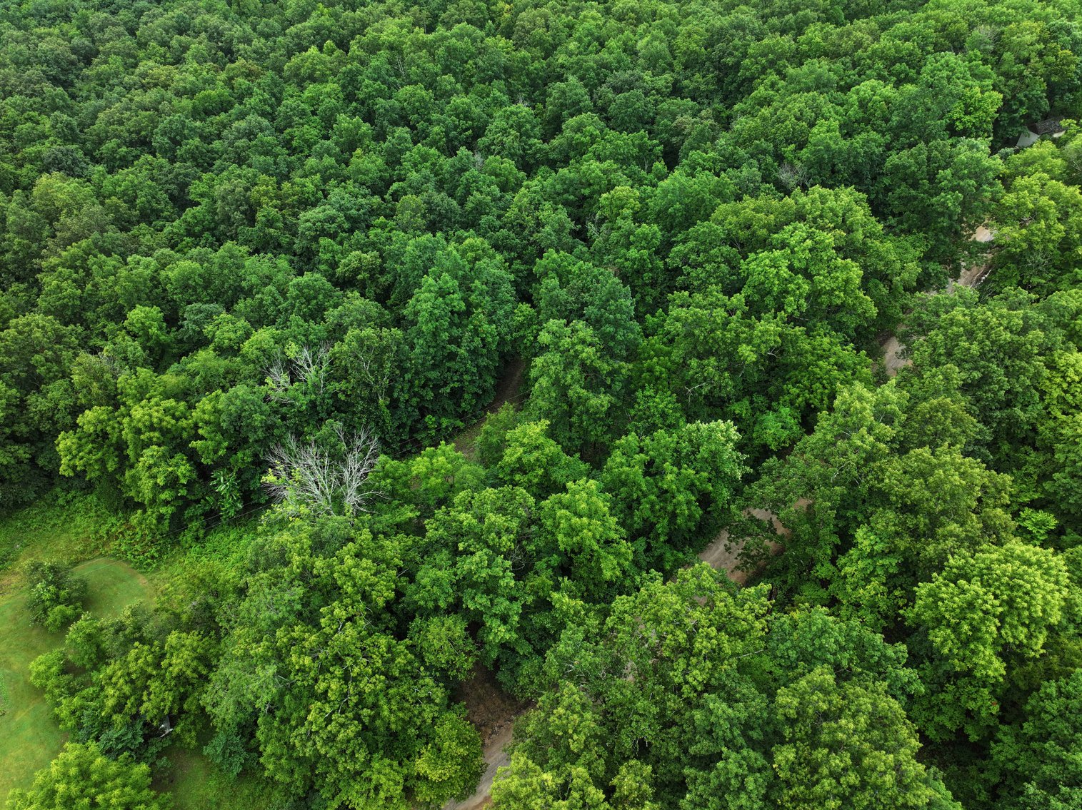 Image for 19.43 Acres M/L, BCR 500 Marble Hill, MO, 63764, MLS #24044744