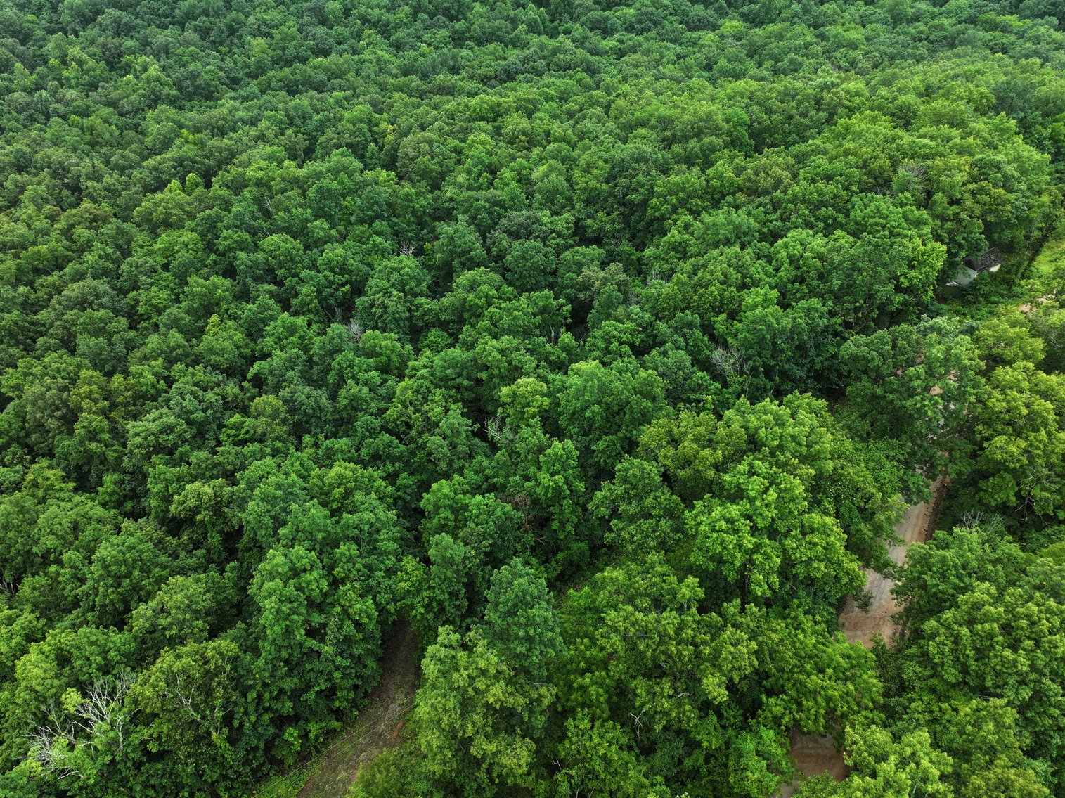 Image for 19.43 Acres M/L, BCR 500 Marble Hill, MO, 63764, MLS #24044744