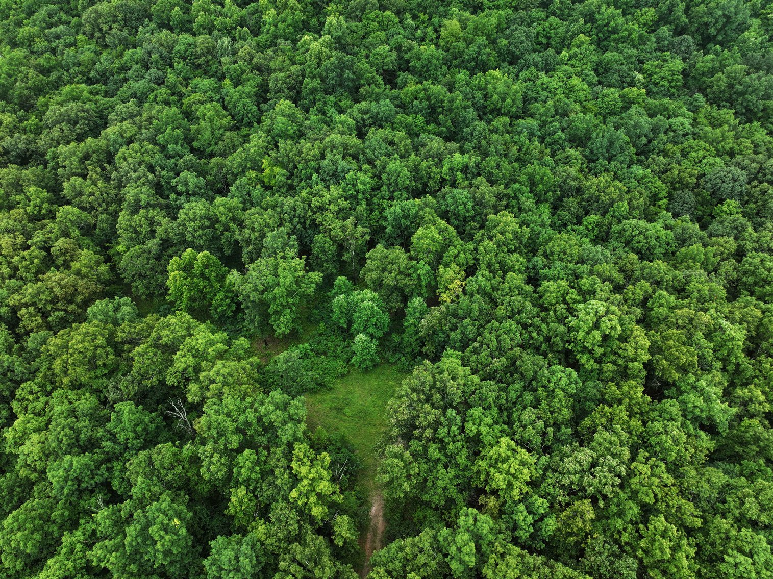 Image for 19.43 Acres M/L, BCR 500 Marble Hill, MO, 63764, MLS #24044744