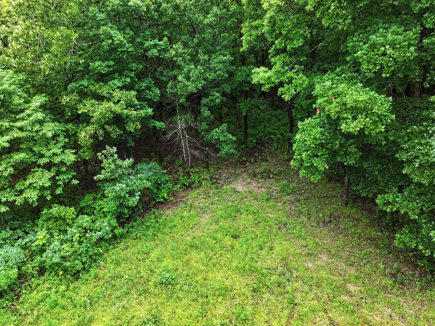 Image for 19.43 Acres M/L, BCR 500 Marble Hill, MO, 63764, MLS #24044744
