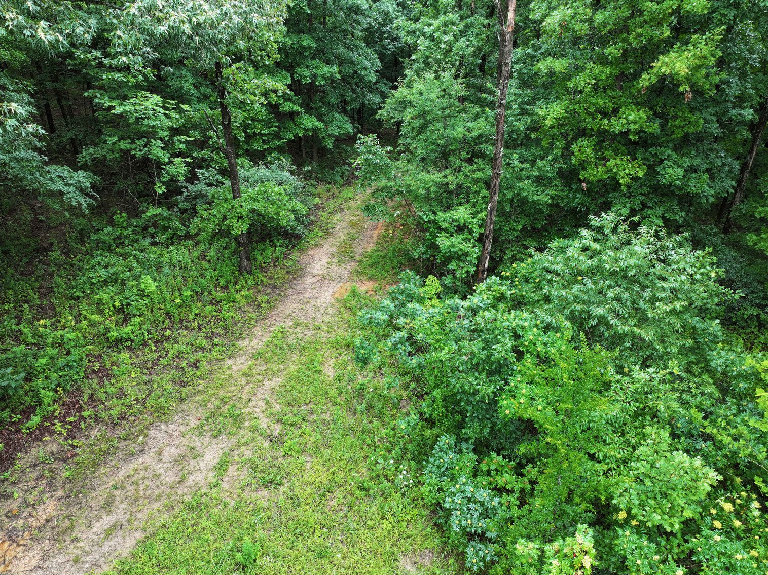 Image for 19.43 Acres M/L, BCR 500 Marble Hill, MO, 63764, MLS #24044744