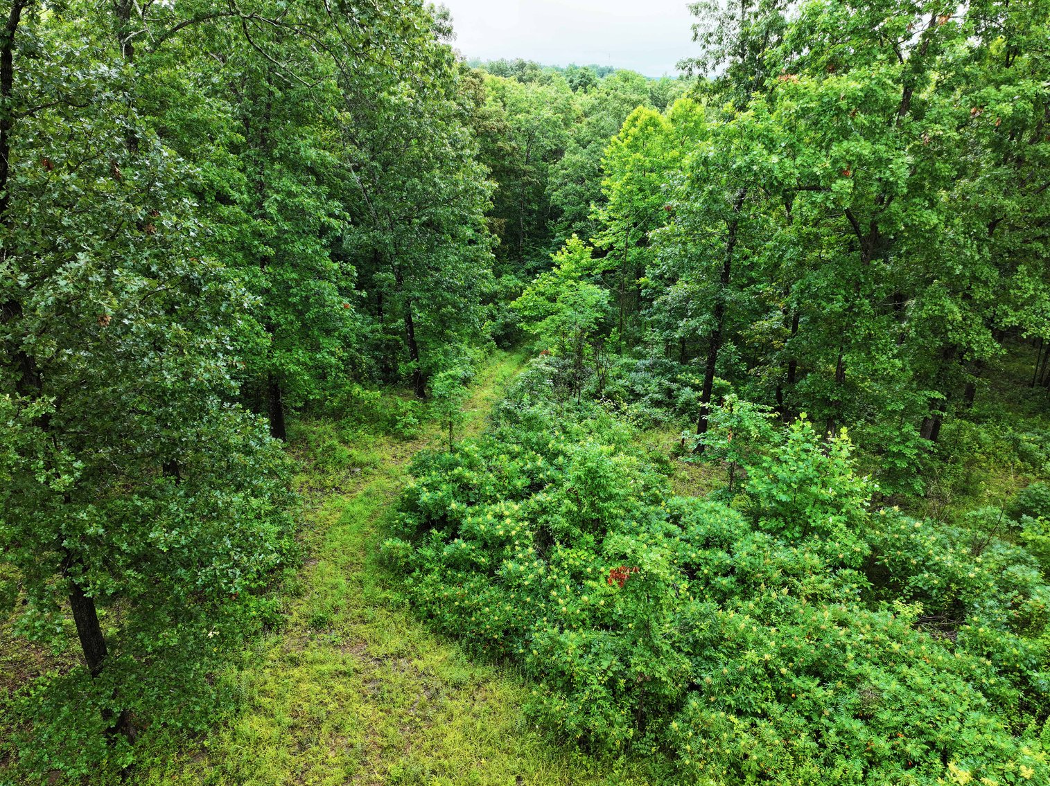 Image for 19.43 Acres M/L, BCR 500 Marble Hill, MO, 63764, MLS #24044744