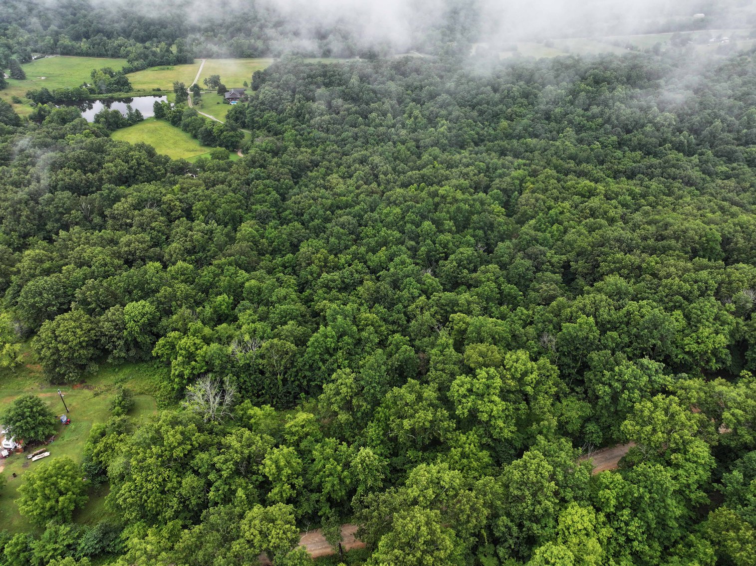 Image for 19.43 Acres M/L, BCR 500 Marble Hill, MO, 63764, MLS #24044744