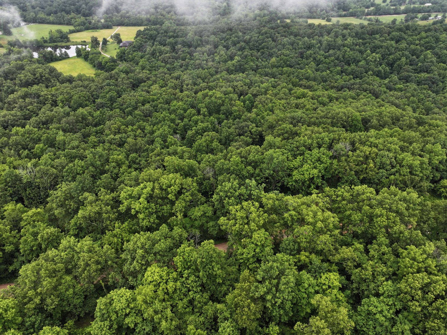 Image for 19.43 Acres M/L, BCR 500 Marble Hill, MO, 63764, MLS #24044744