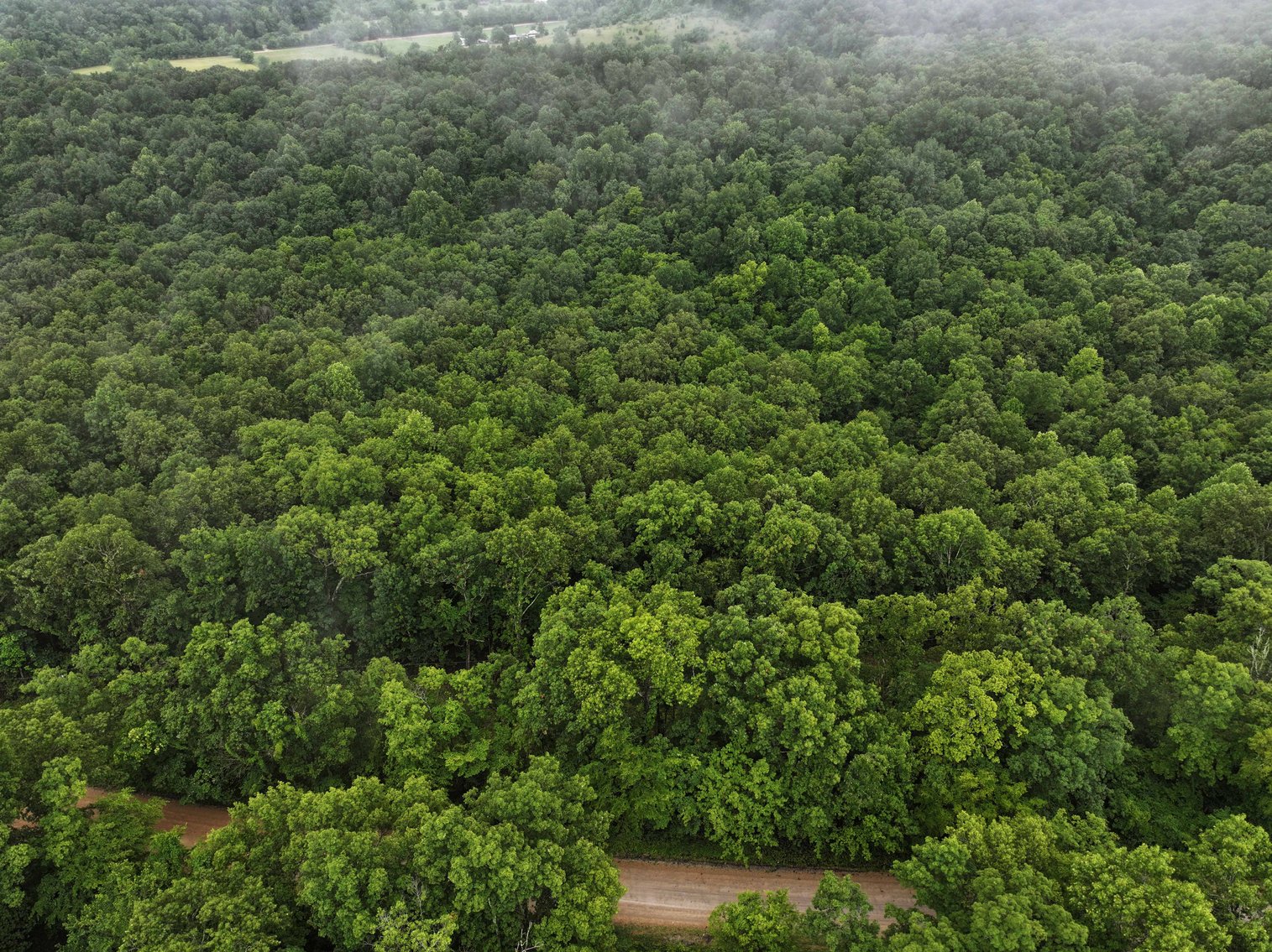 Image for 19.43 Acres M/L, BCR 500 Marble Hill, MO, 63764, MLS #24044744