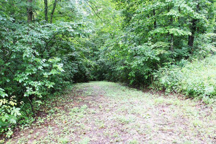 Image for 19.43 Acres M/L, BCR 500 Marble Hill, MO, 63764, MLS #24044744
