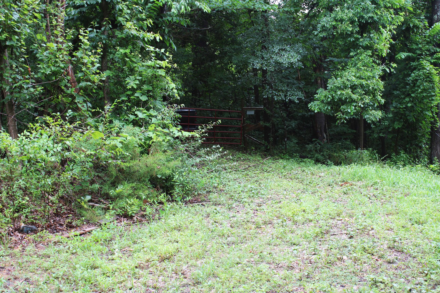 Image for 19.43 Acres M/L, BCR 500 Marble Hill, MO, 63764, MLS #24044744