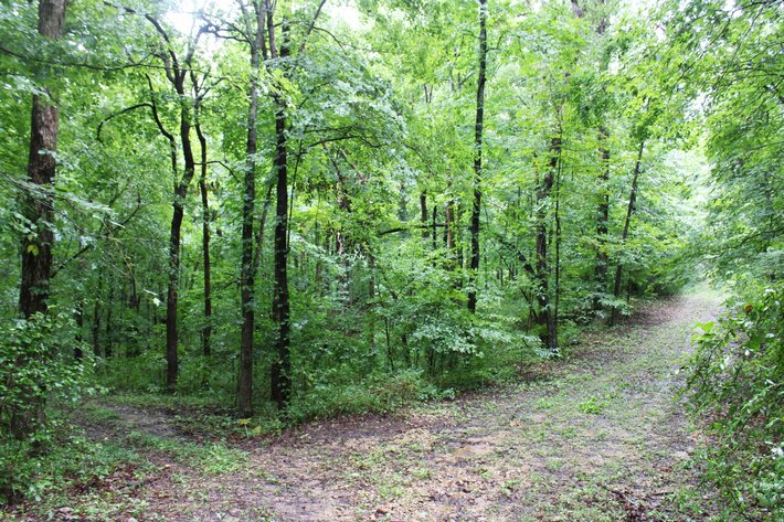 Image for 19.43 Acres M/L, BCR 500 Marble Hill, MO, 63764, MLS #24044744