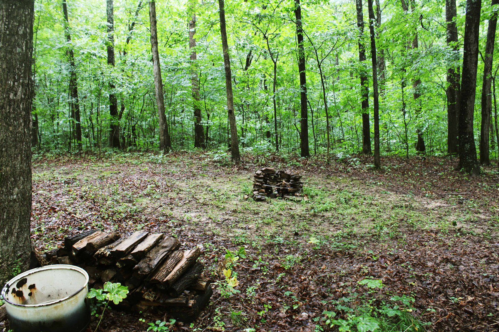 Image for 19.43 Acres M/L, BCR 500 Marble Hill, MO, 63764, MLS #24044744