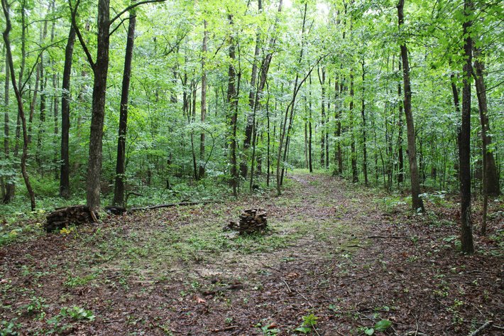 Image for 19.43 Acres M/L, BCR 500 Marble Hill, MO, 63764, MLS #24044744