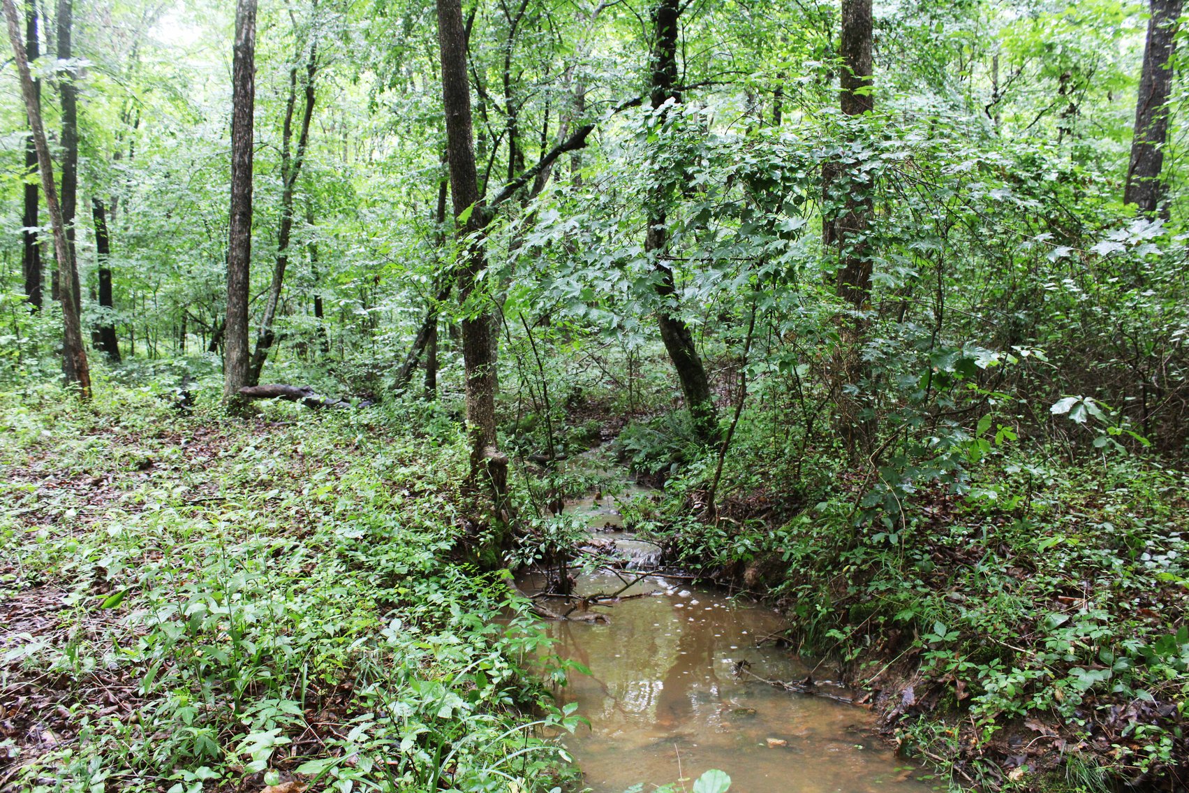 Image for 19.43 Acres M/L, BCR 500 Marble Hill, MO, 63764, MLS #24044744