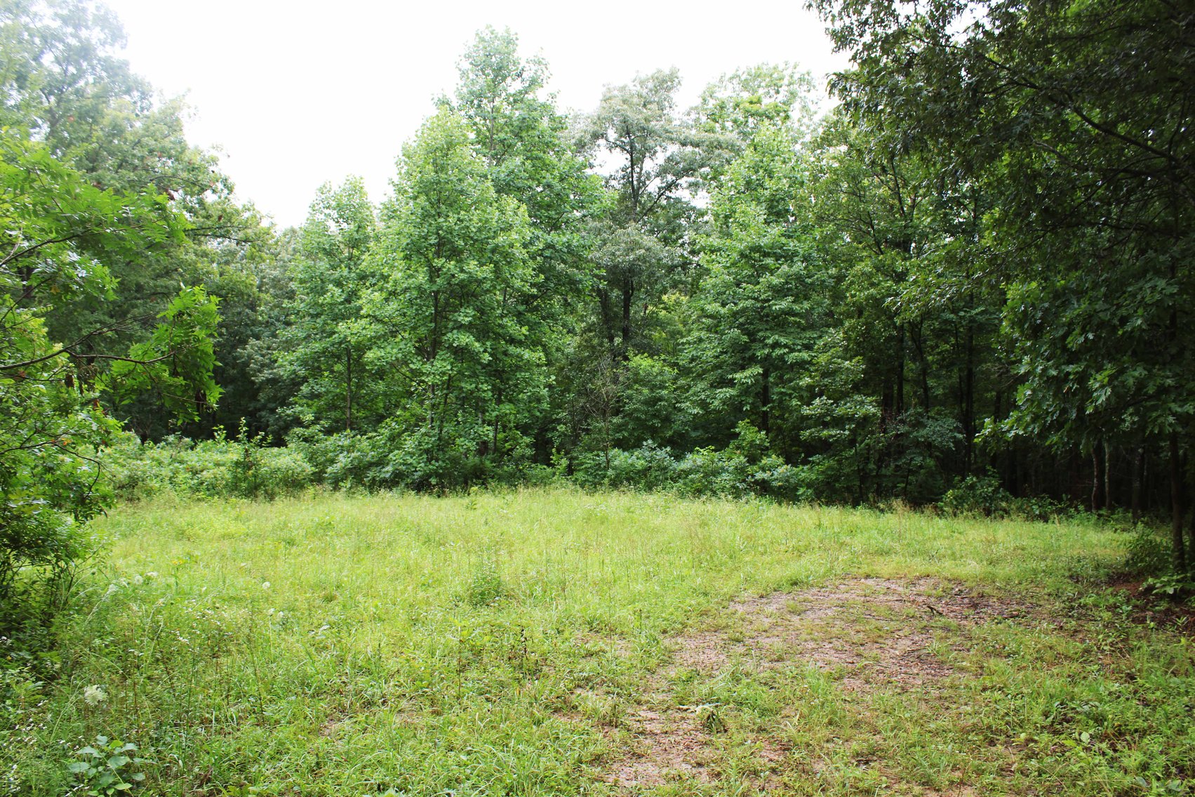 Image for 19.43 Acres M/L, BCR 500 Marble Hill, MO, 63764, MLS #24044744