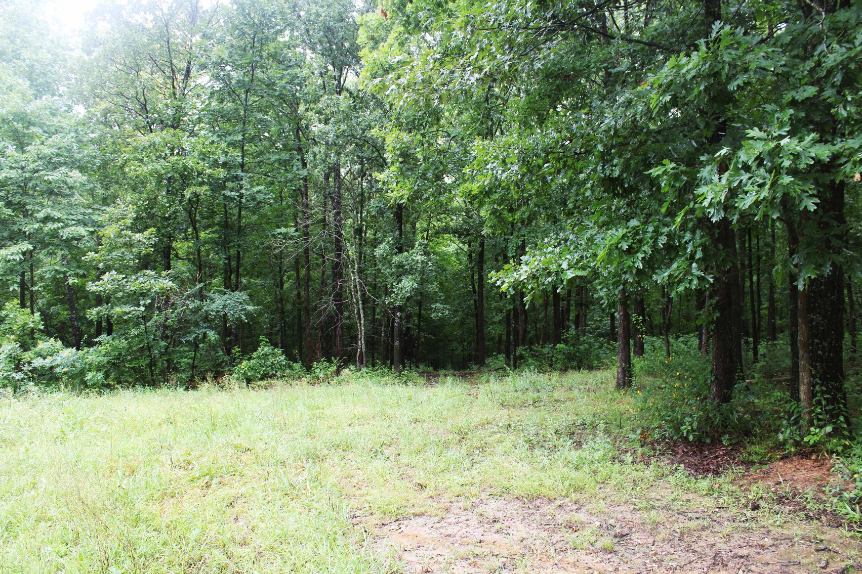 Image for 19.43 Acres M/L, BCR 500 Marble Hill, MO, 63764, MLS #24044744