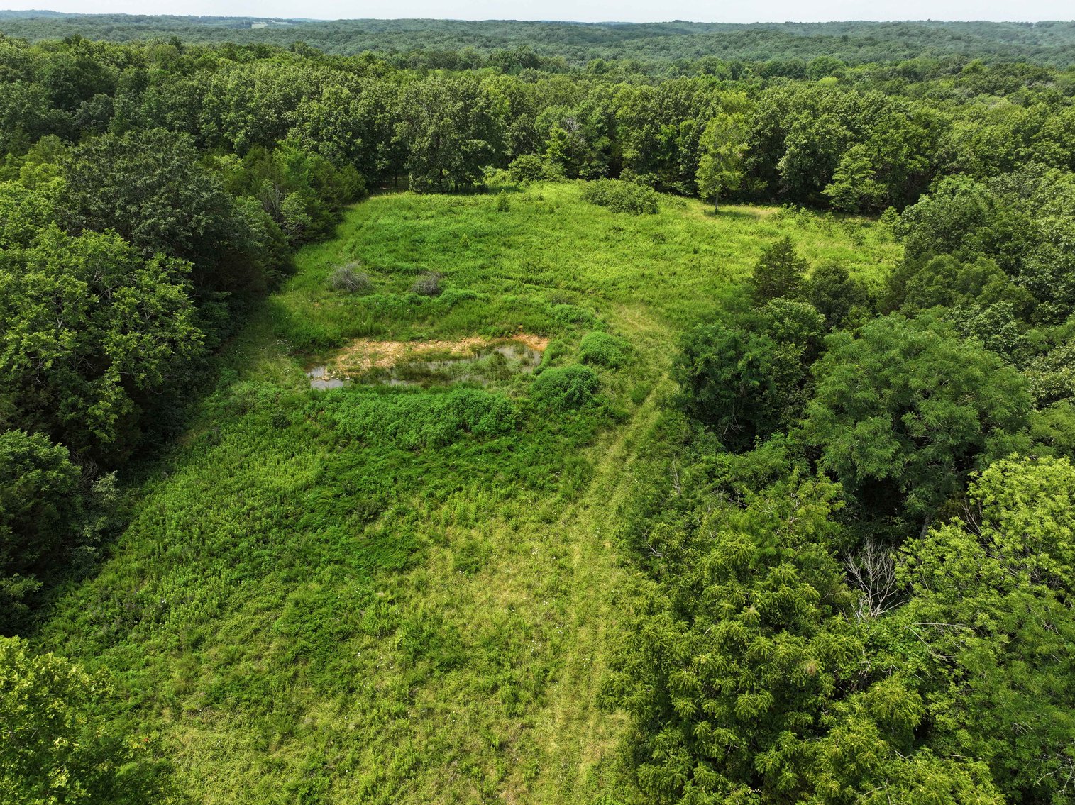 Image for 49.73 Ac M/L, 1231 PCR 846 Perryville, MO 63775, MLS 24049437