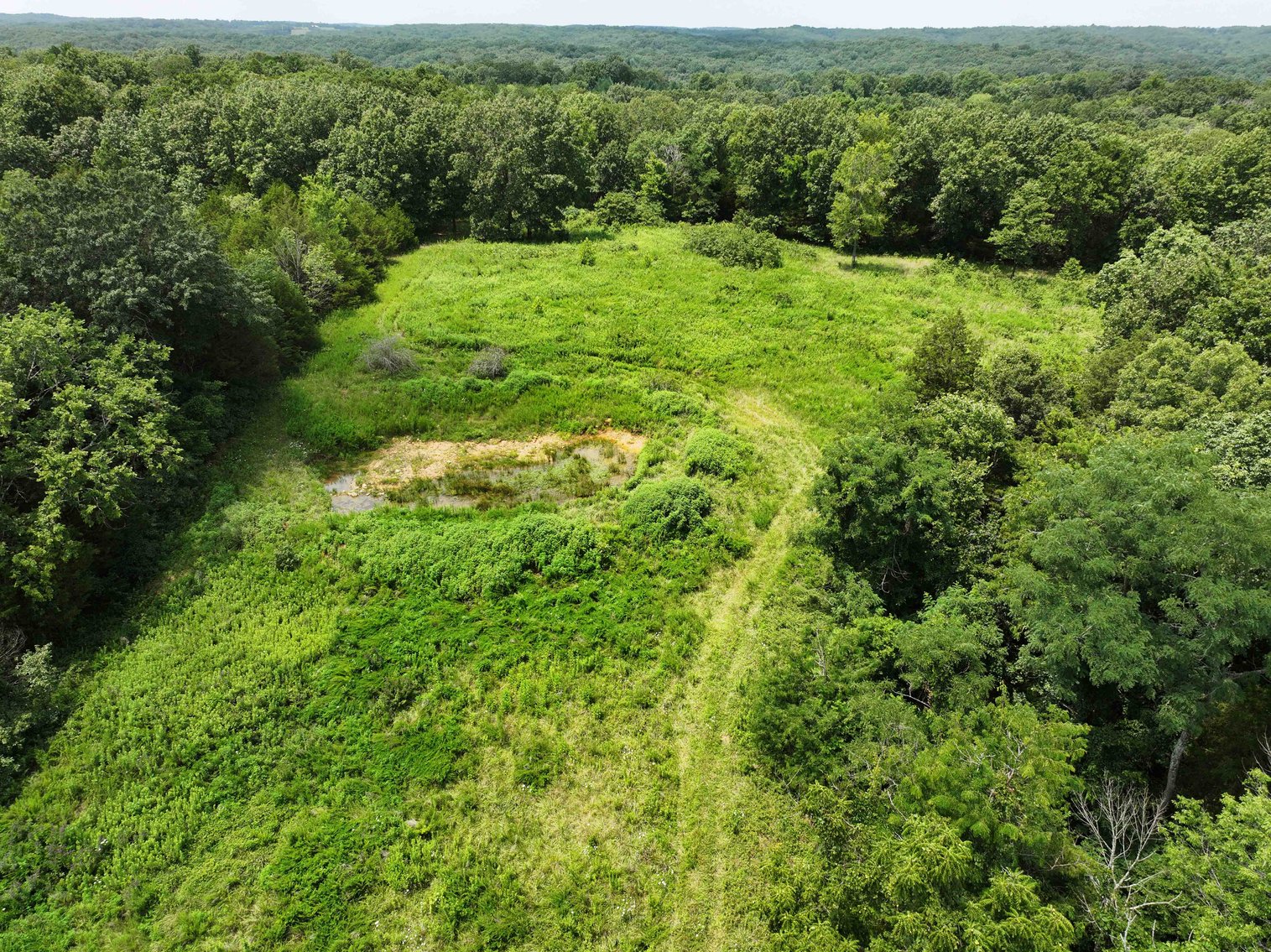 Image for 49.73 Ac M/L, 1231 PCR 846 Perryville, MO 63775, MLS 24049437