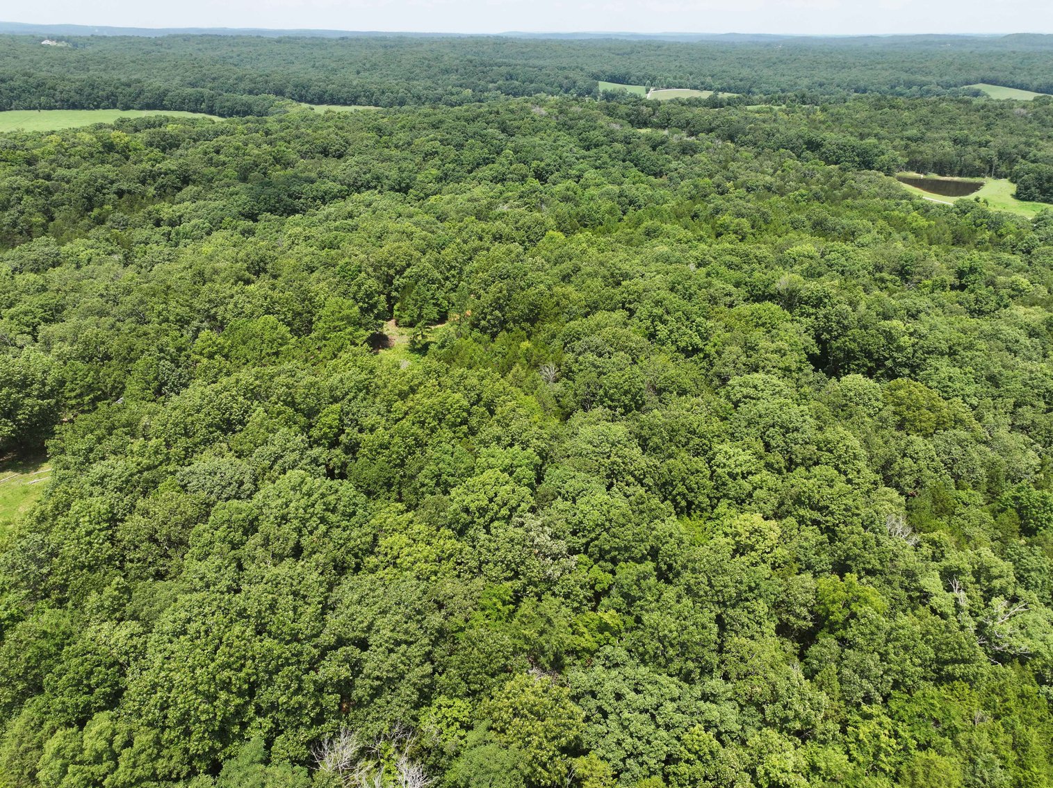 Image for 49.73 Ac M/L, 1231 PCR 846 Perryville, MO 63775, MLS 24049437