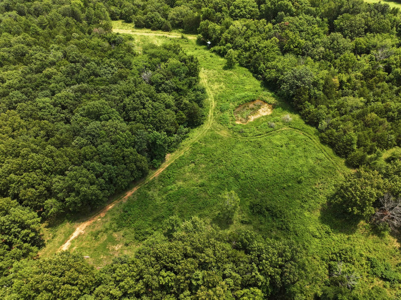 Image for 49.73 Ac M/L, 1231 PCR 846 Perryville, MO 63775, MLS 24049437