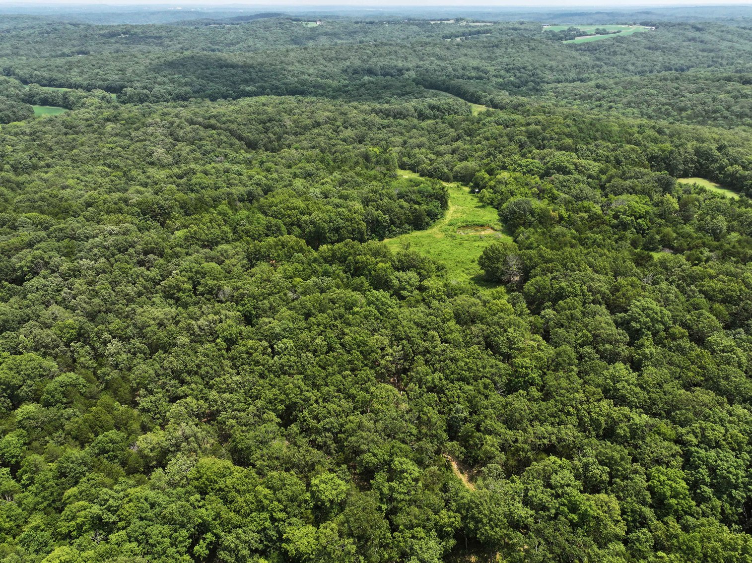 Image for 49.73 Ac M/L, 1231 PCR 846 Perryville, MO 63775, MLS 24049437