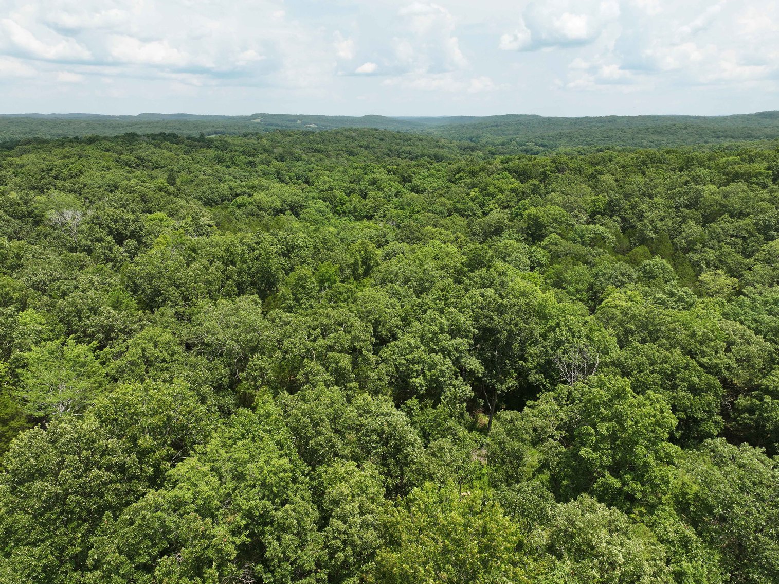 Image for 49.73 Ac M/L, 1231 PCR 846 Perryville, MO 63775, MLS 24049437