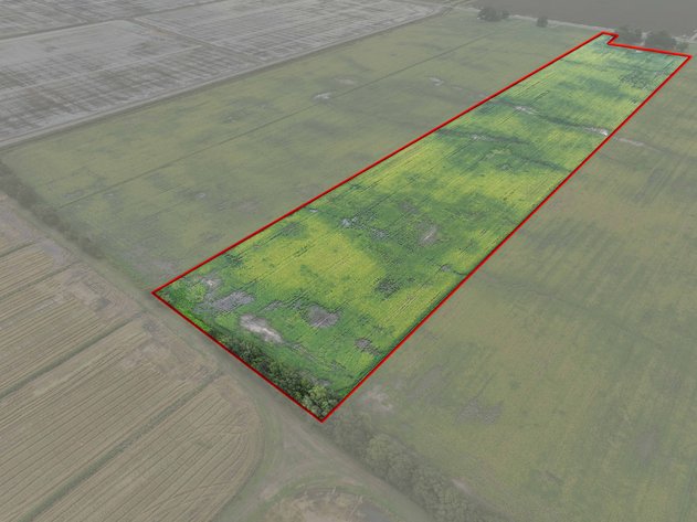 Image for Pemiscot County, Steele Highway C