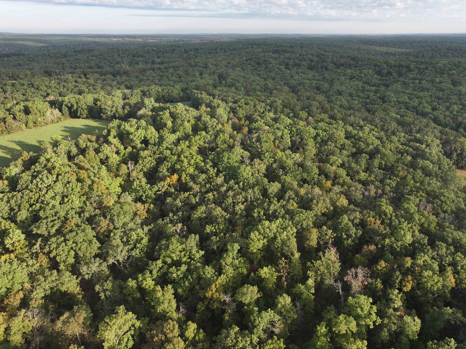 Image for Perry County, Hwy BB