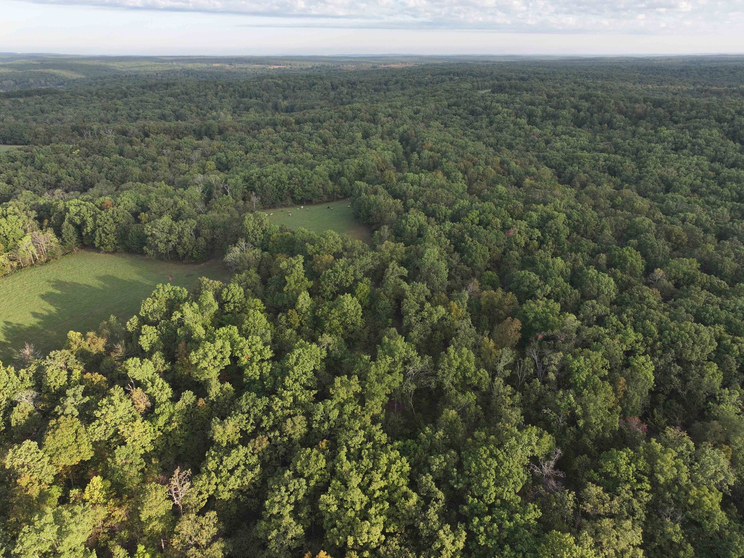 Image for Perry County, Hwy BB