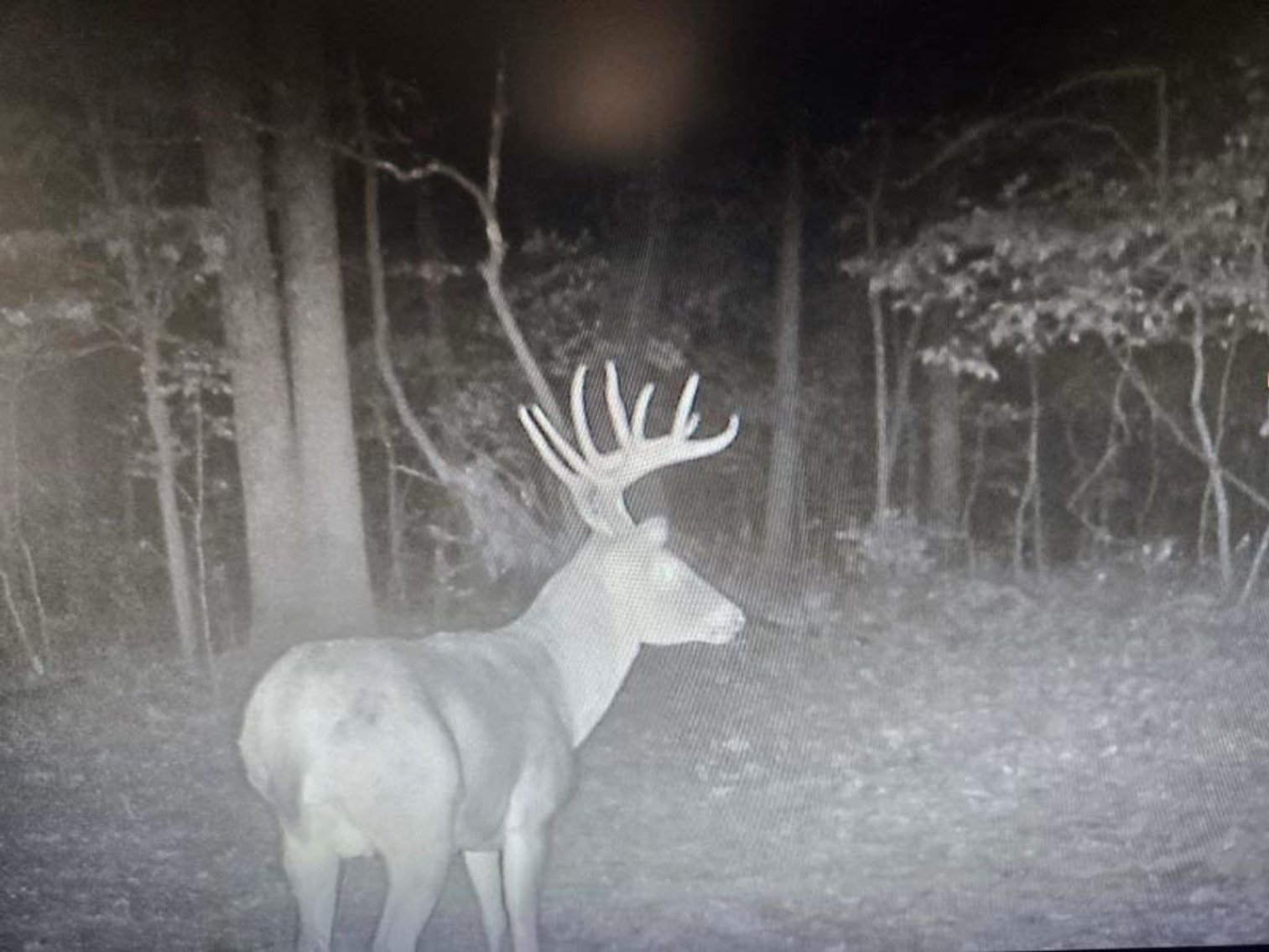 Image for Perry County, Hwy BB