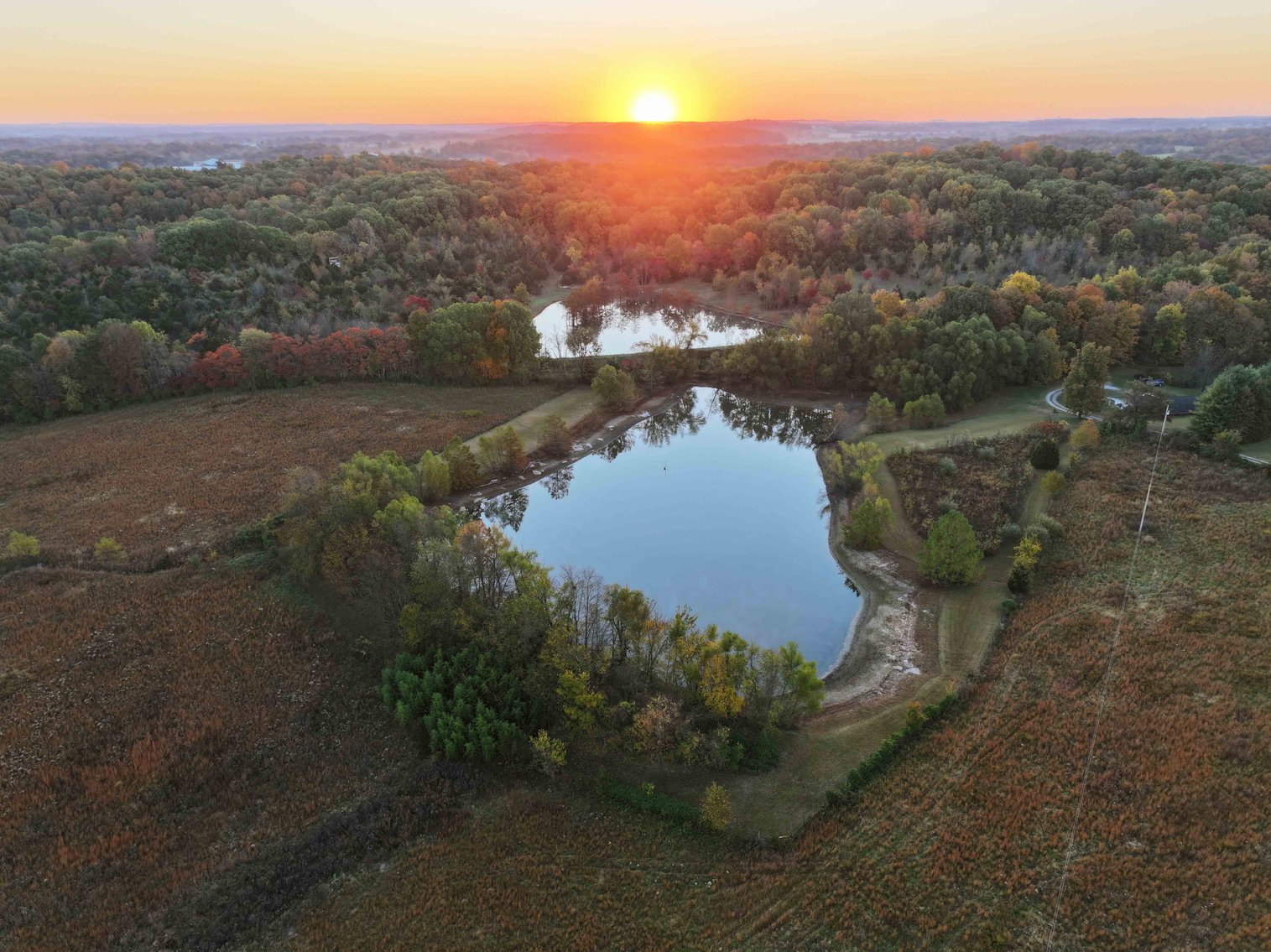 Image for 34.55 Acres +/- County Road 520, Oak Ridge, MO 63769, MLS 24068346