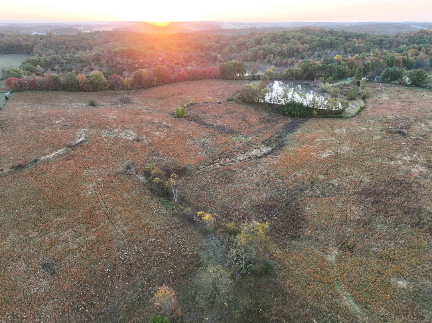 Image for 34.55 Acres +/- County Road 520, Oak Ridge, MO 63769, MLS 24068346