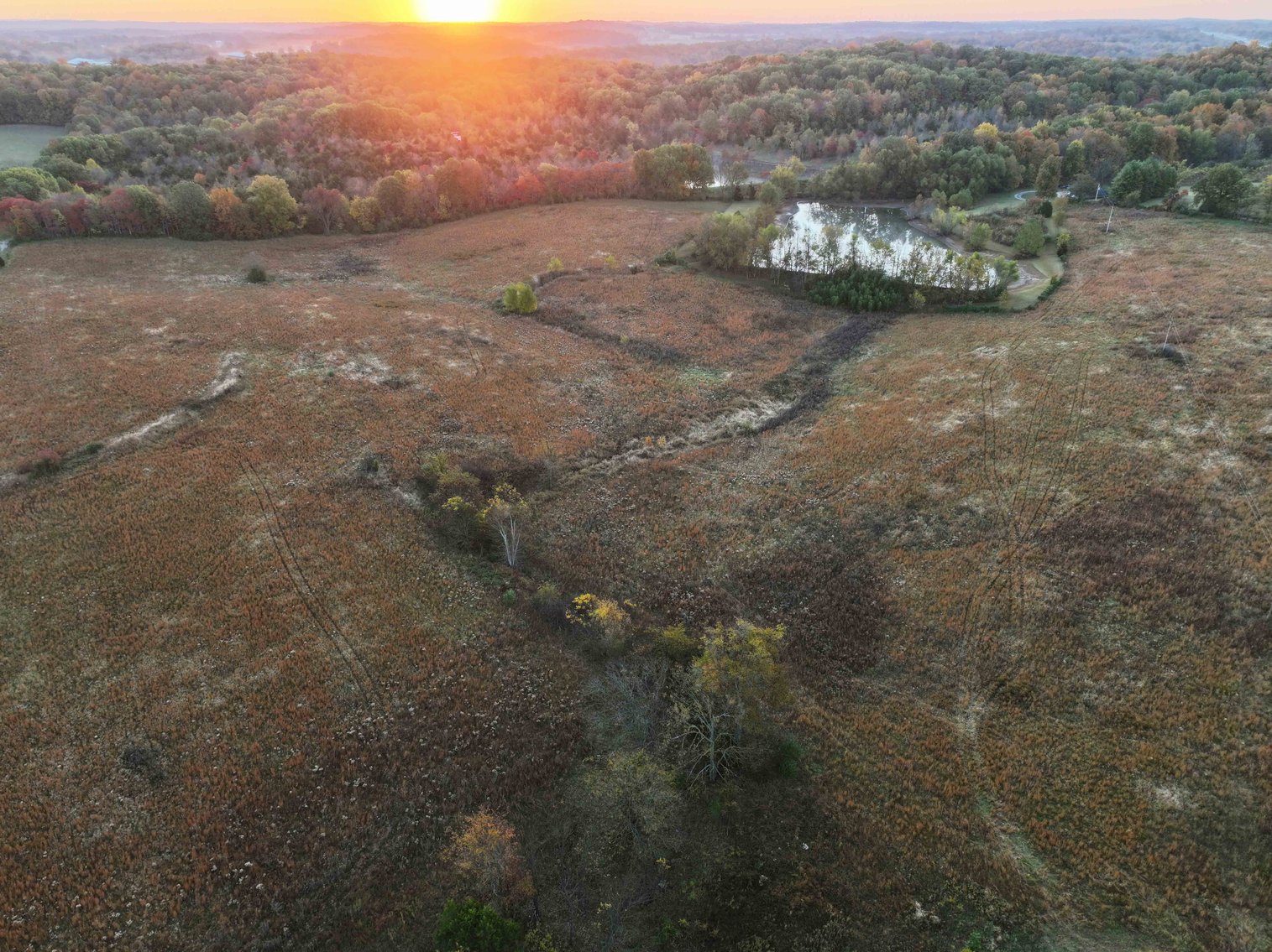 Image for 34.55 Acres +/- County Road 520, Oak Ridge, MO 63769, MLS 24068346