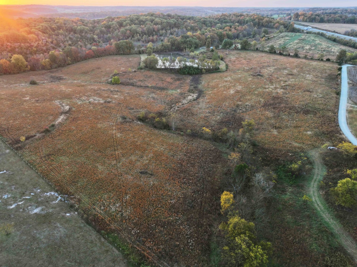 Image for 34.55 Acres +/- County Road 520, Oak Ridge, MO 63769, MLS 24068346