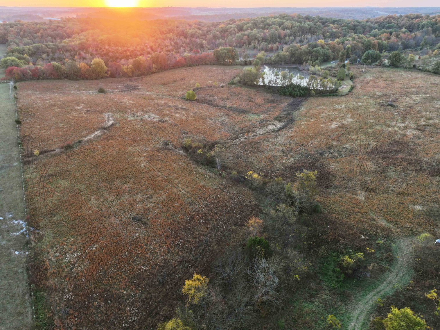 Image for 34.55 Acres +/- County Road 520, Oak Ridge, MO 63769, MLS 24068346