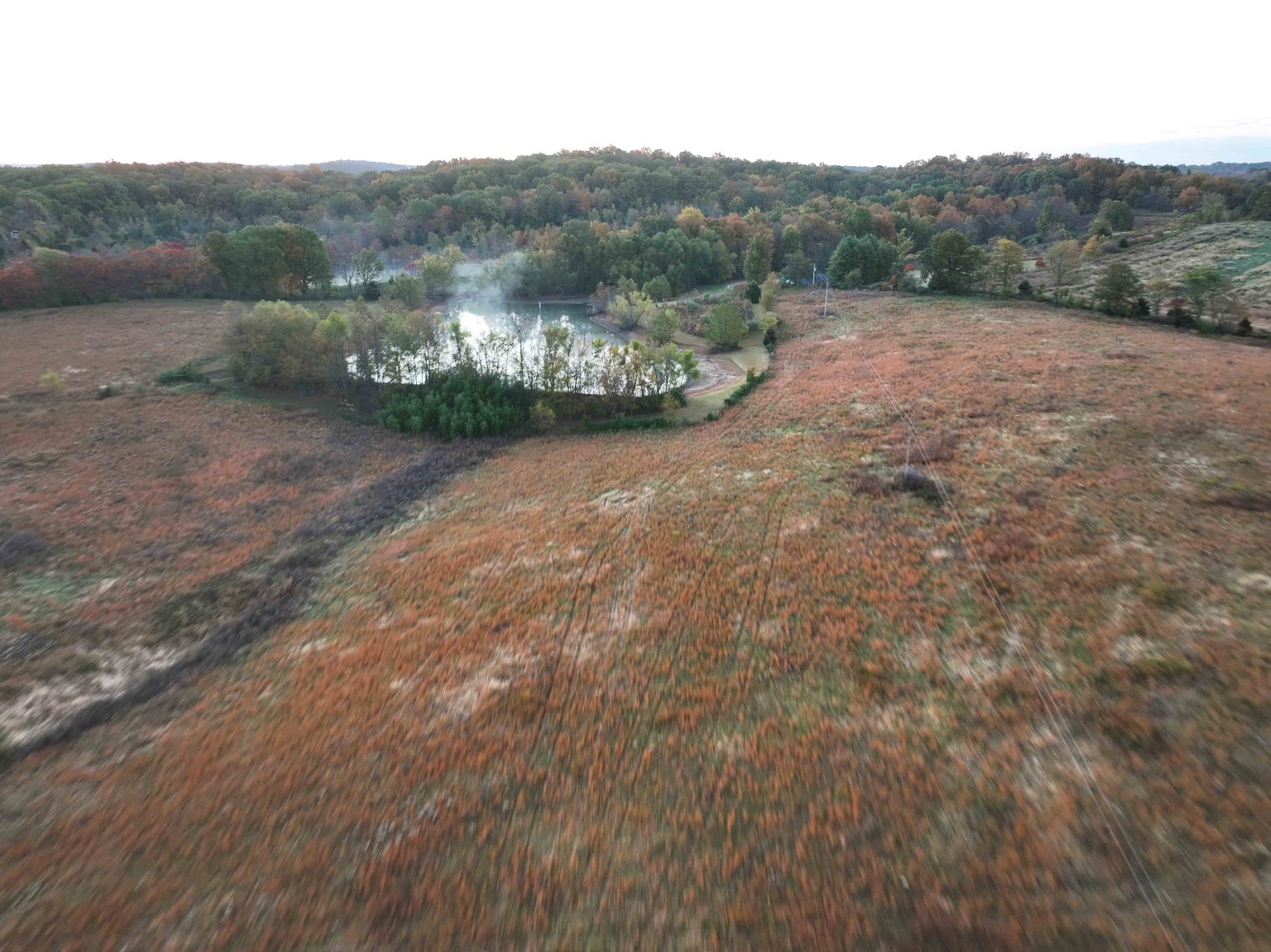 Image for 34.55 Acres +/- County Road 520, Oak Ridge, MO 63769, MLS 24068346