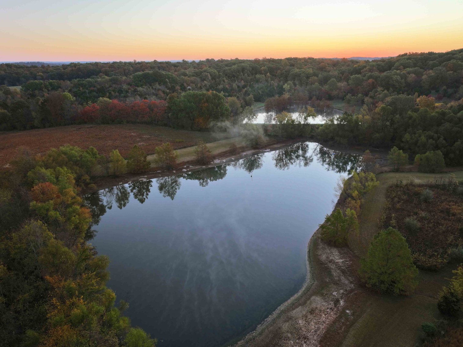 Image for 34.55 Acres +/- County Road 520, Oak Ridge, MO 63769, MLS 24068346