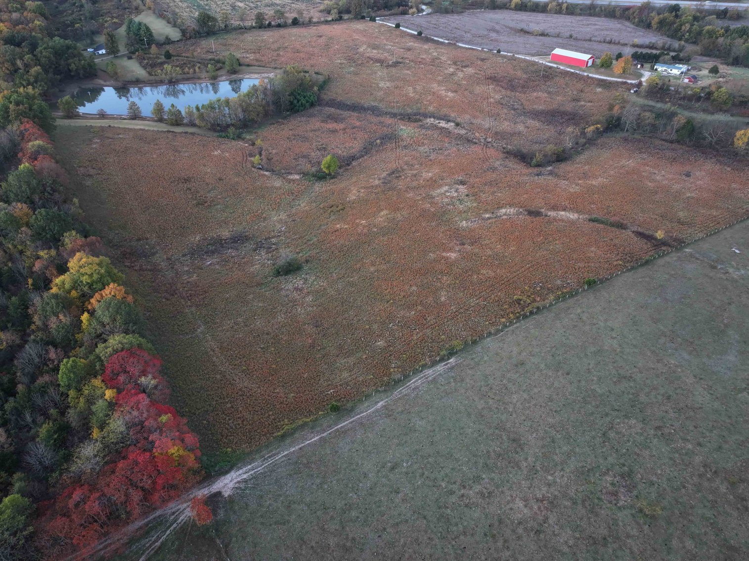 Image for 34.55 Acres +/- County Road 520, Oak Ridge, MO 63769, MLS 24068346