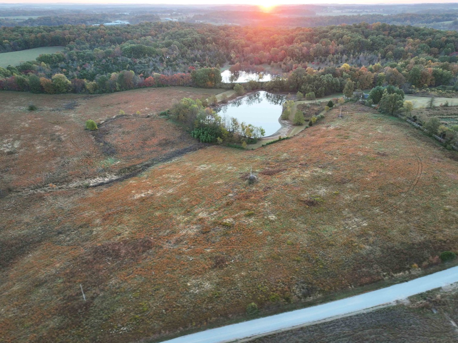 Image for 34.55 Acres +/- County Road 520, Oak Ridge, MO 63769, MLS 24068346