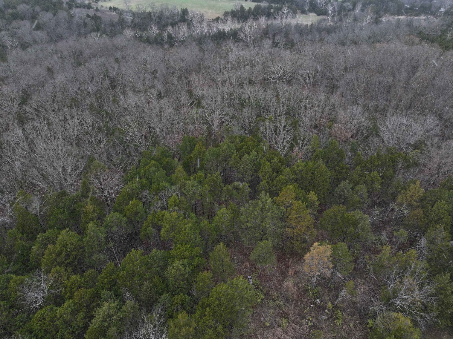 Image for 5.39 Acres +/-, Mineral lane, Park Hills, MO 63601, MLS 24075052