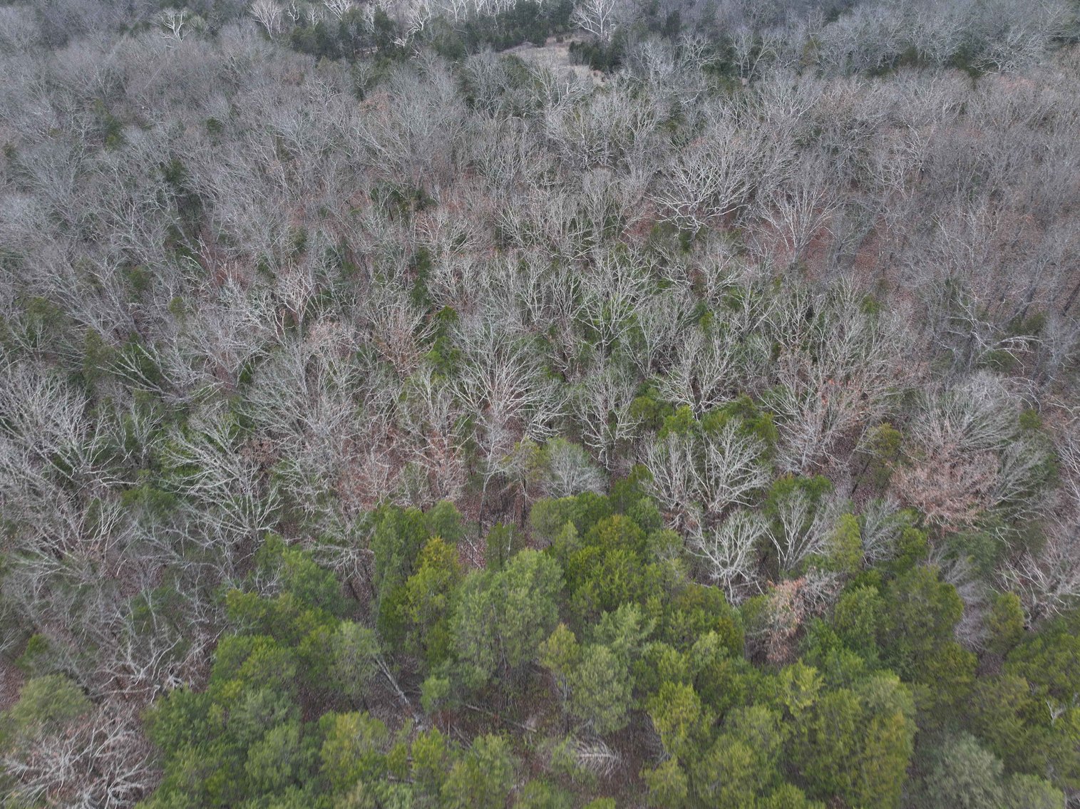 Image for 5.39 Acres +/-, Mineral lane, Park Hills, MO 63601, MLS 24075052