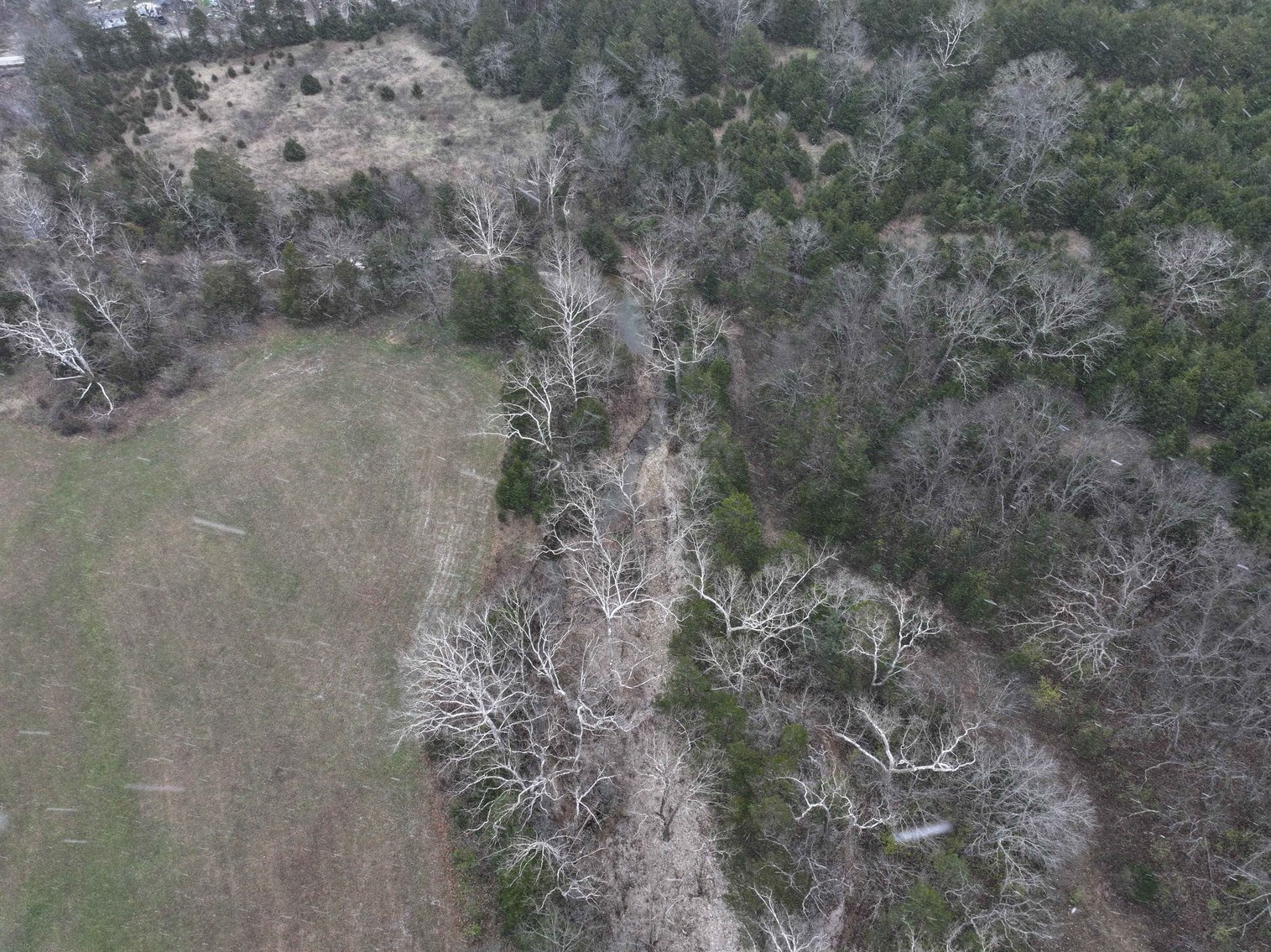 Image for 5.39 Acres +/-, Mineral lane, Park Hills, MO 63601, MLS 24075052