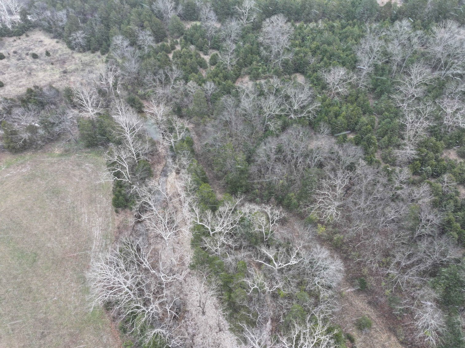 Image for 5.39 Acres +/-, Mineral lane, Park Hills, MO 63601, MLS 24075052