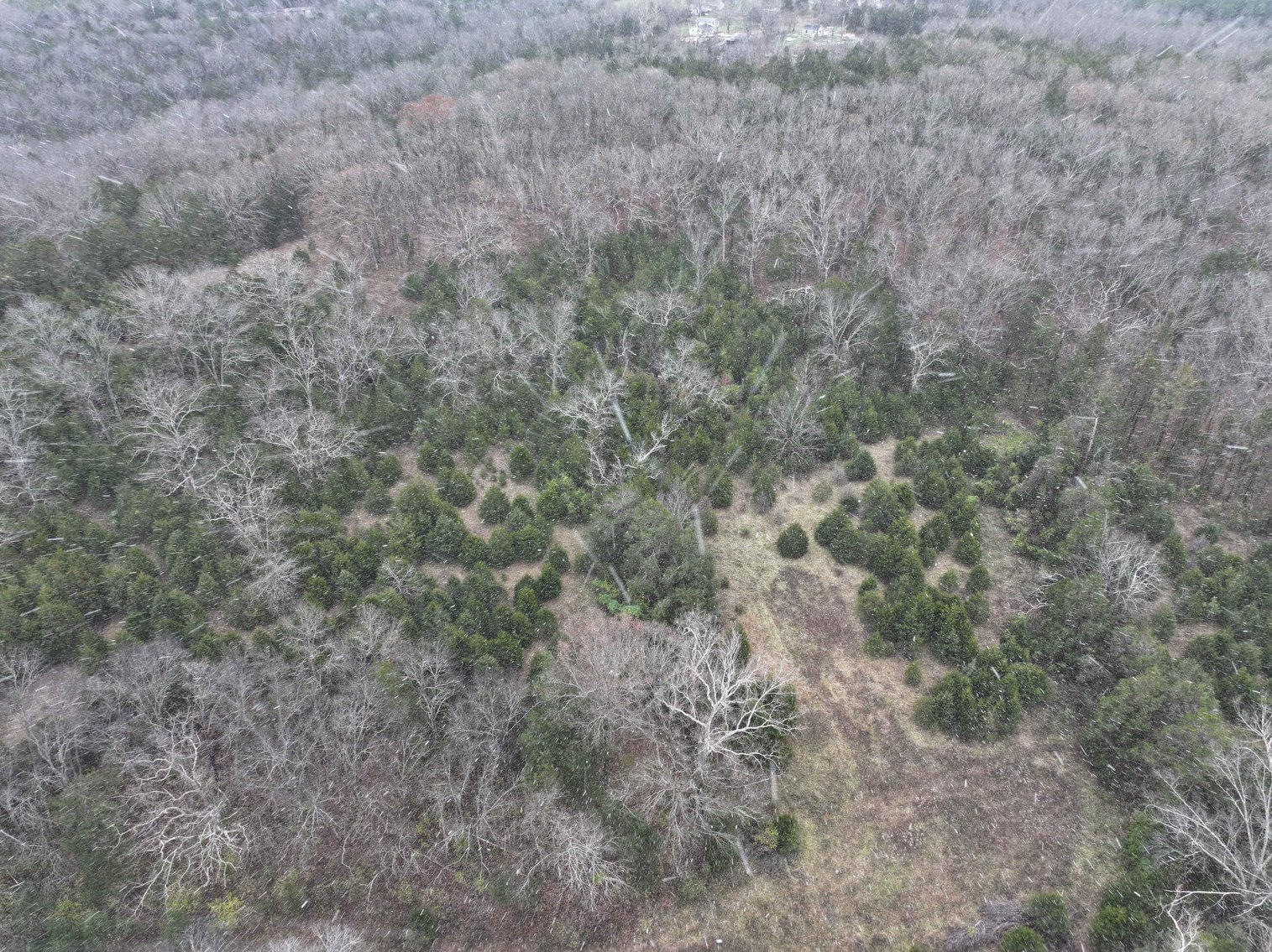 Image for 5.39 Acres +/-, Mineral lane, Park Hills, MO 63601, MLS 24075052