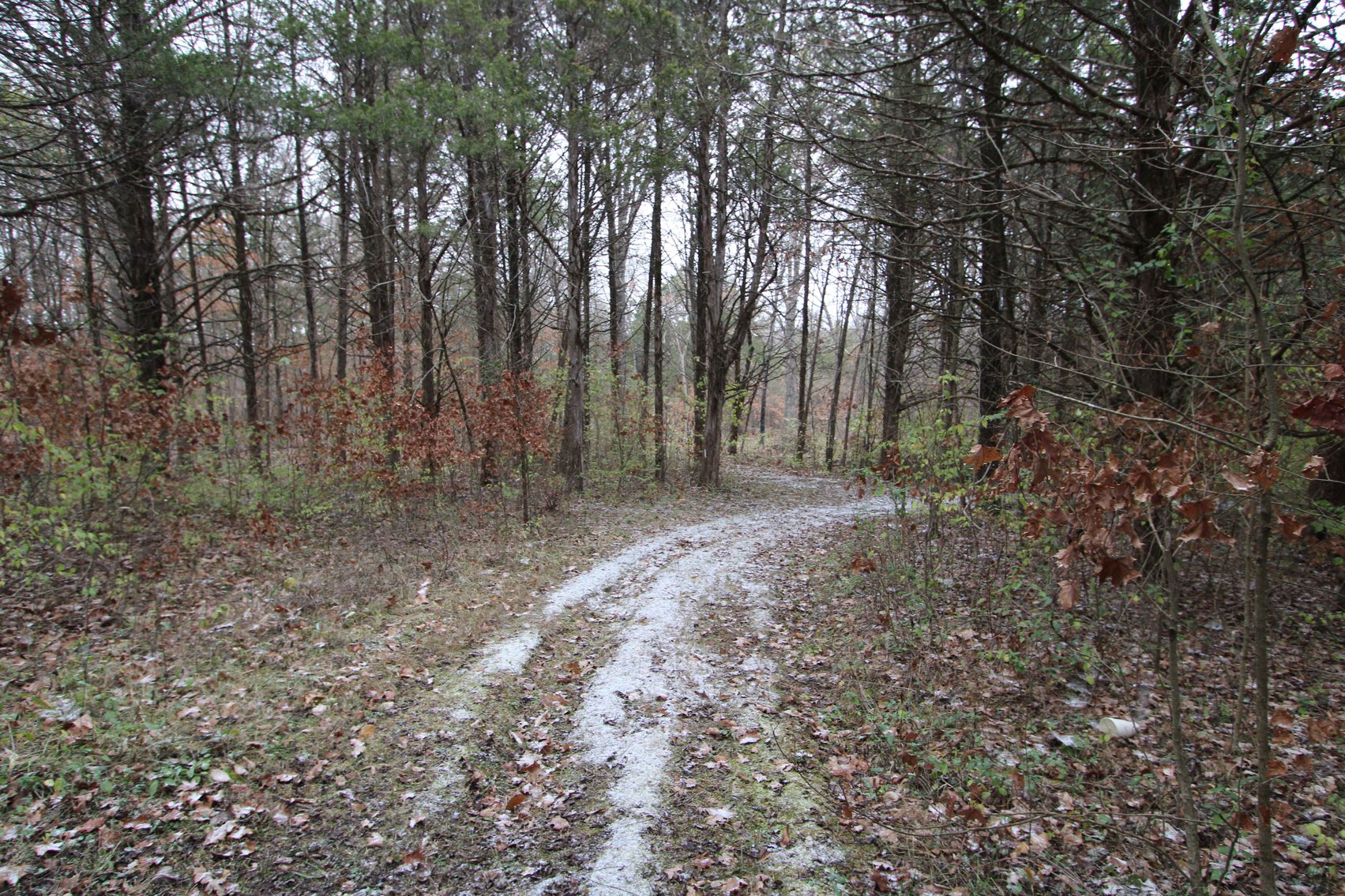 Image for 5.39 Acres +/-, Mineral lane, Park Hills, MO 63601, MLS 24075052