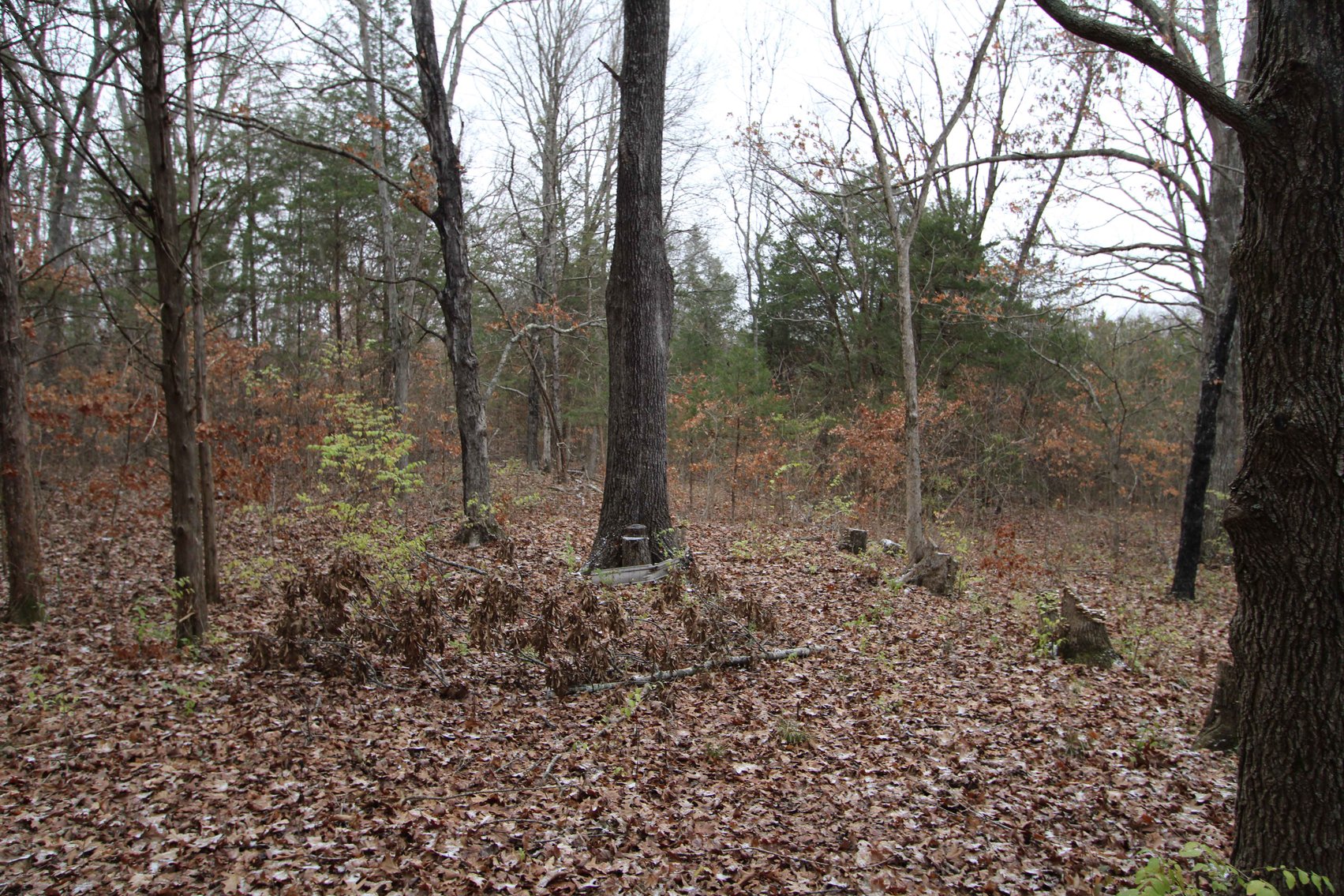 Image for 5.39 Acres +/-, Mineral lane, Park Hills, MO 63601, MLS 24075052