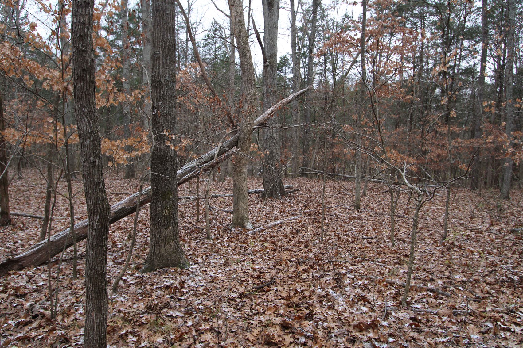 Image for 5.39 Acres +/-, Mineral lane, Park Hills, MO 63601, MLS 24075052