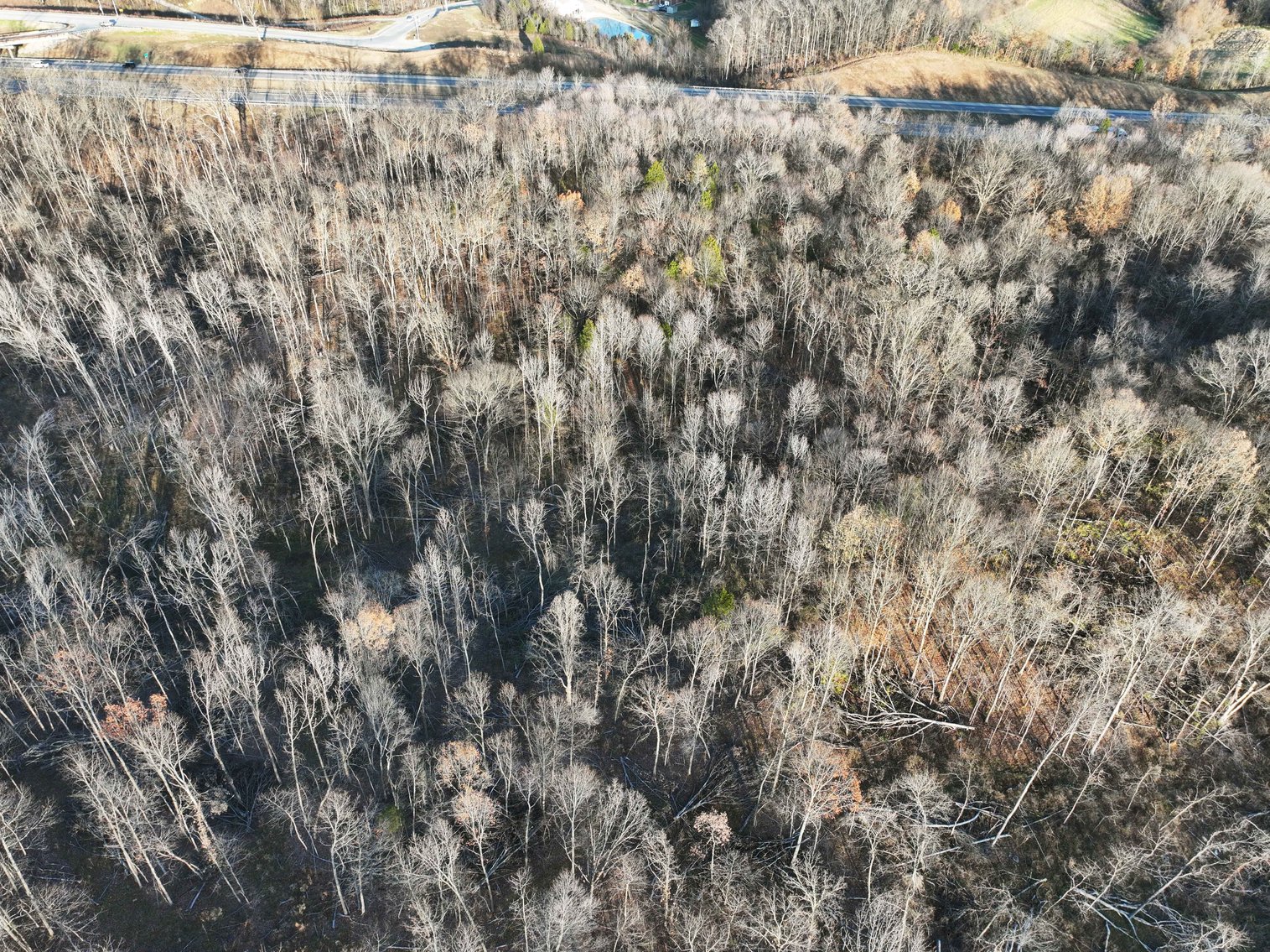 Image for 31.6 Acres M/L, 4161 Hopper Cape Girardeau MO 63701, MLS #25000991