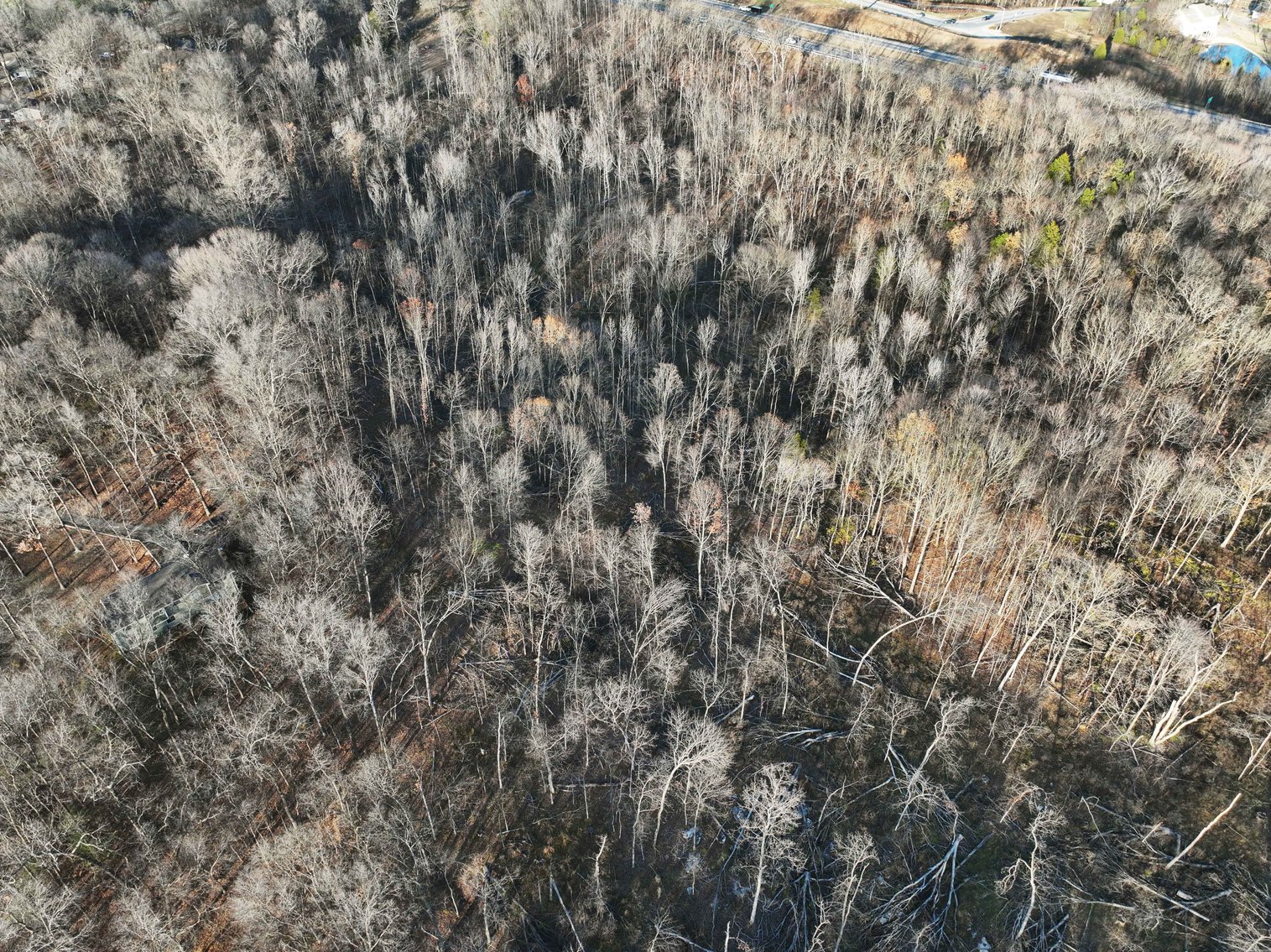 Image for 31.6 Acres M/L, 4161 Hopper Cape Girardeau MO 63701, MLS #25000991